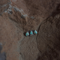 The Little High Desert